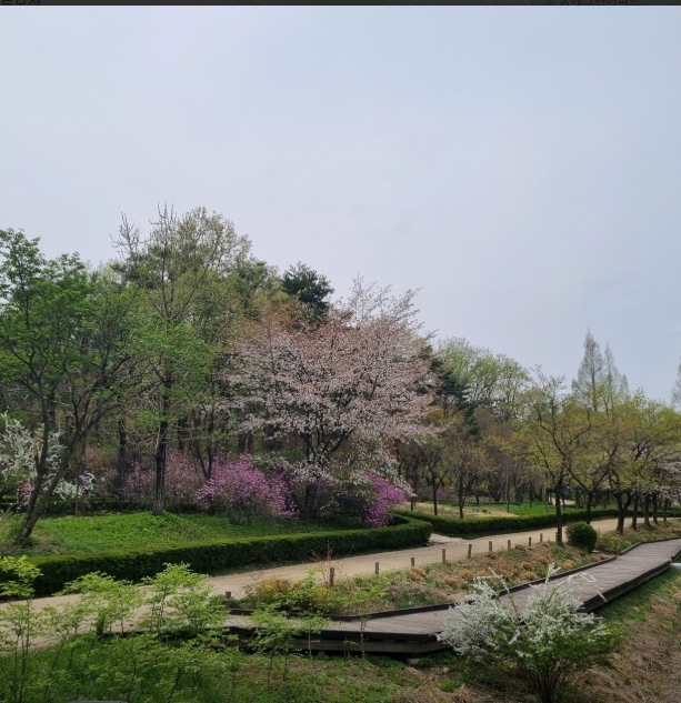 빠글 AI