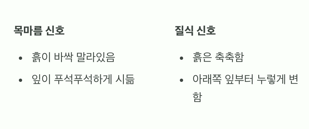 목마름의 신호 vs 질식의 신호