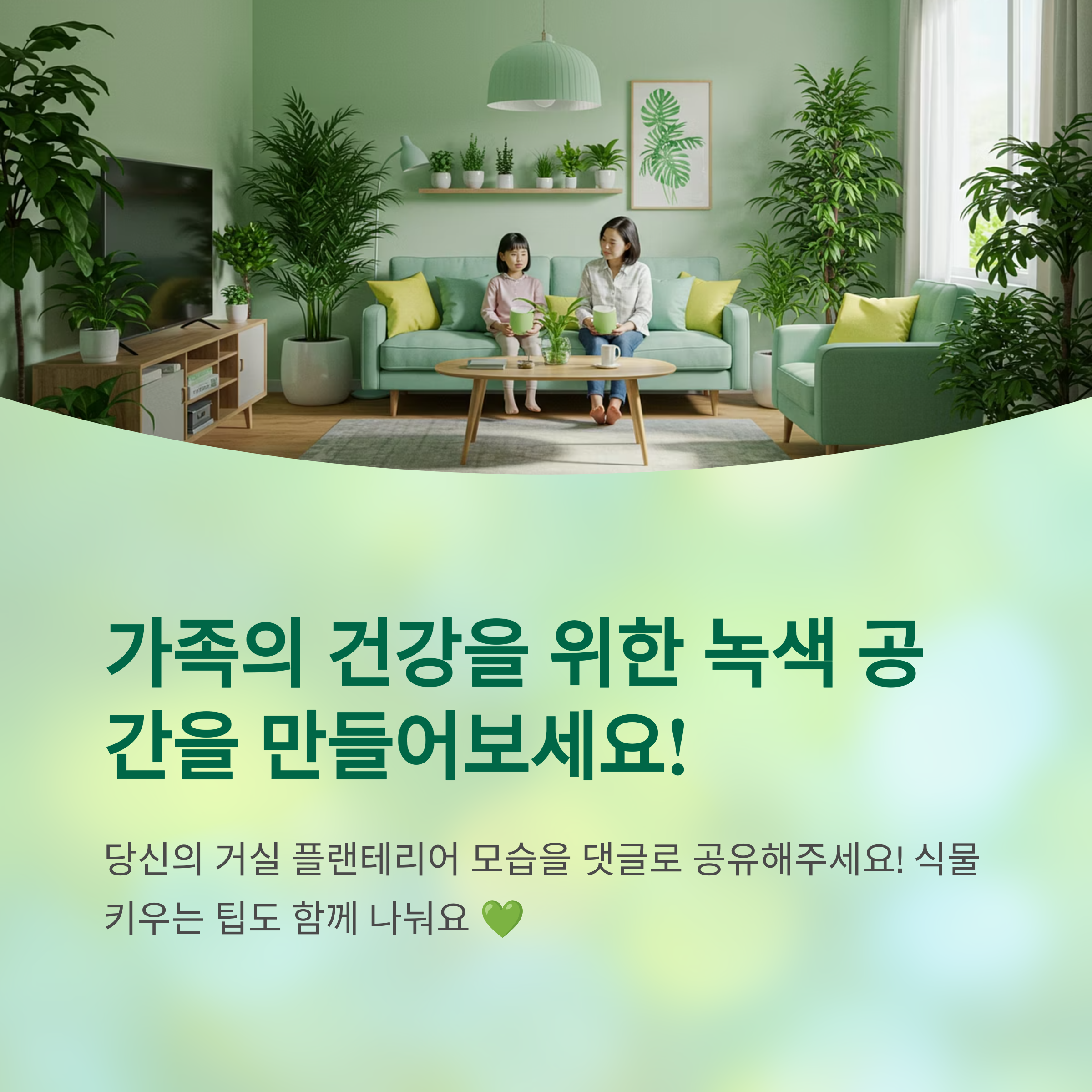 거실 공기 정화에 탁월한 플랜테리어 조합