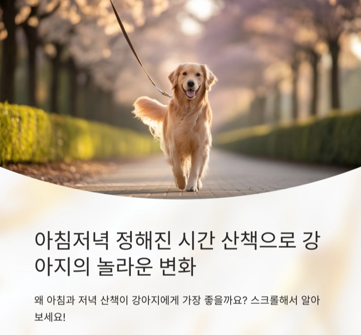 아침저녁 정해진 시간에 산책하는 강아지, 놀라운 변화의 시작