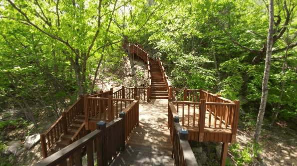 3. 국립 황정산 자연휴양림