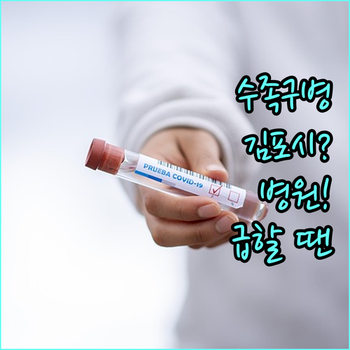 수족구병 걸렸을 때 김포시 병원 찾는..