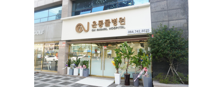 제주 제주시 동물병원