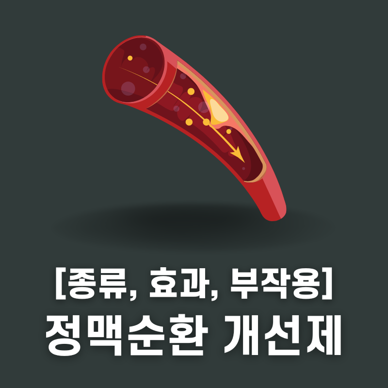 정맥순환 개선제 종류