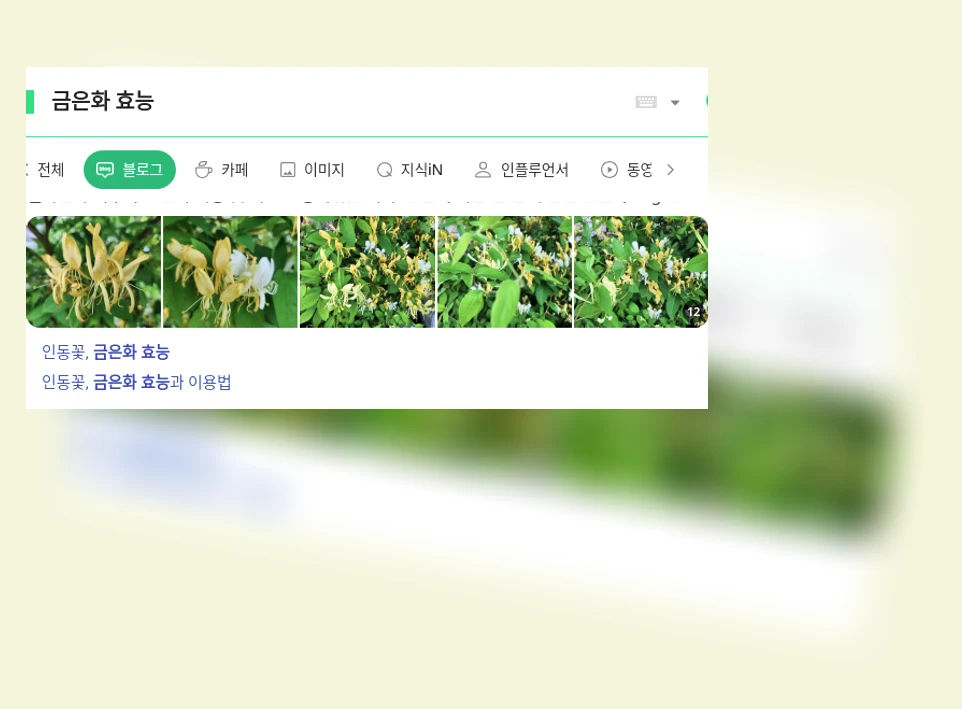 금은화 효능_1_subsection