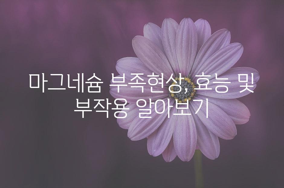 샘플 (50)