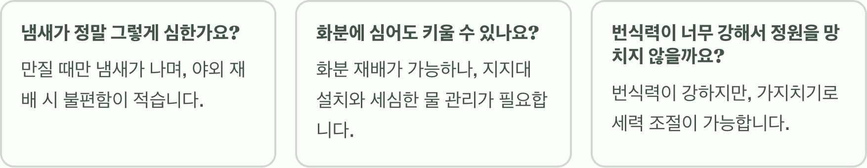 생명력 끝판왕, 계요등 키우기 A to Z