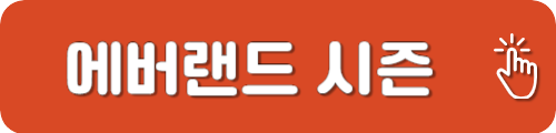 에버랜드 시즌 가격