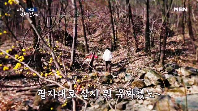 나는-자연인이다-윤택