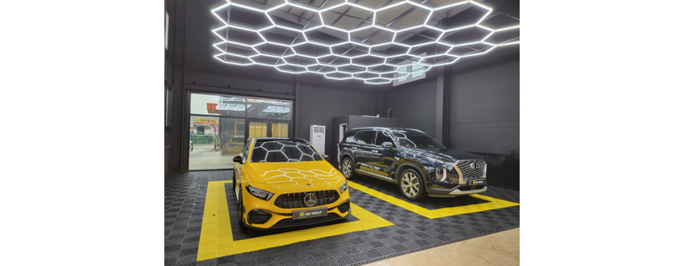 고양 일산동구 ppf