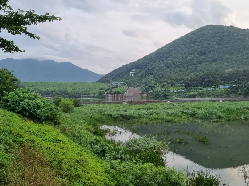 바로 앞 하천은 영첨댐에서 쏟아낸 물로 가득 차 있었습니다.