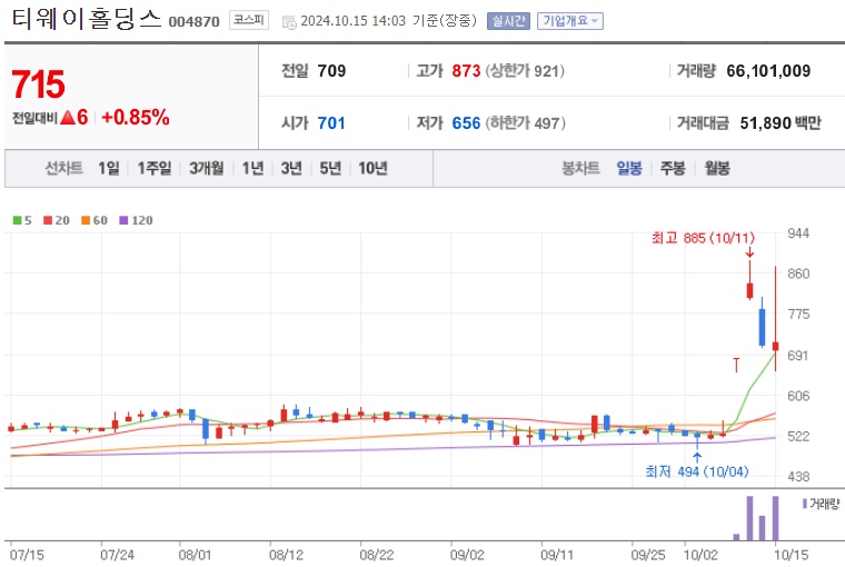 티웨이홀딩스 주가