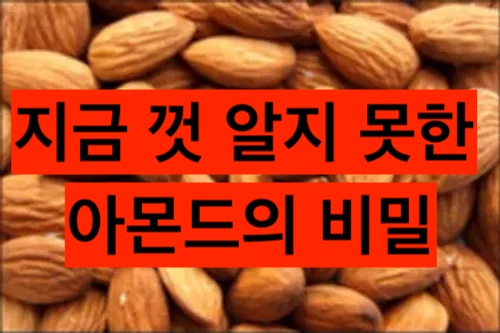 아몬드의 비밀