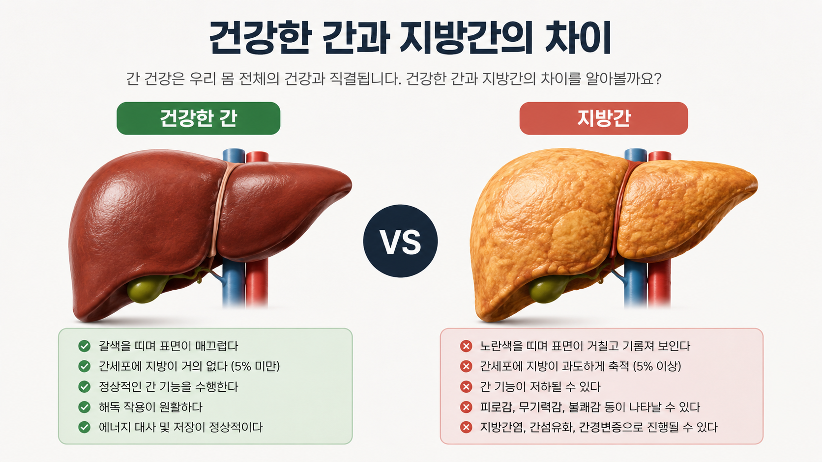 술을 안 마셔도 지방간이 생긴다면,대부분 이 이유입니다