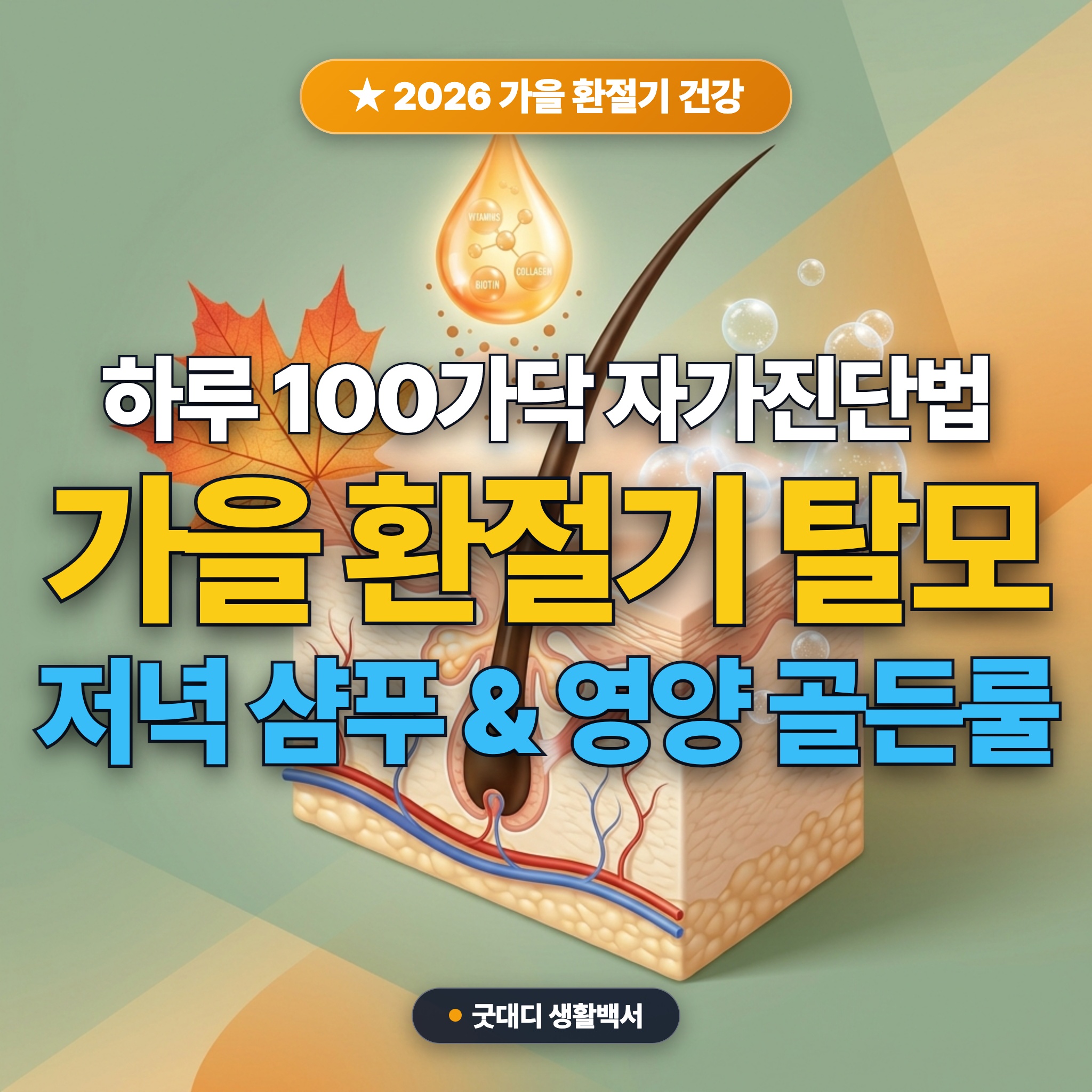 2026 가을 환절기 급증하는 휴지기 탈모 원인과 예방 골든룰: 하루 100가닥 자가진단법 &amp; 저녁 샴푸 루틴 (미녹시딜&middot;비오틴 팩트체크) 대표 썸네일