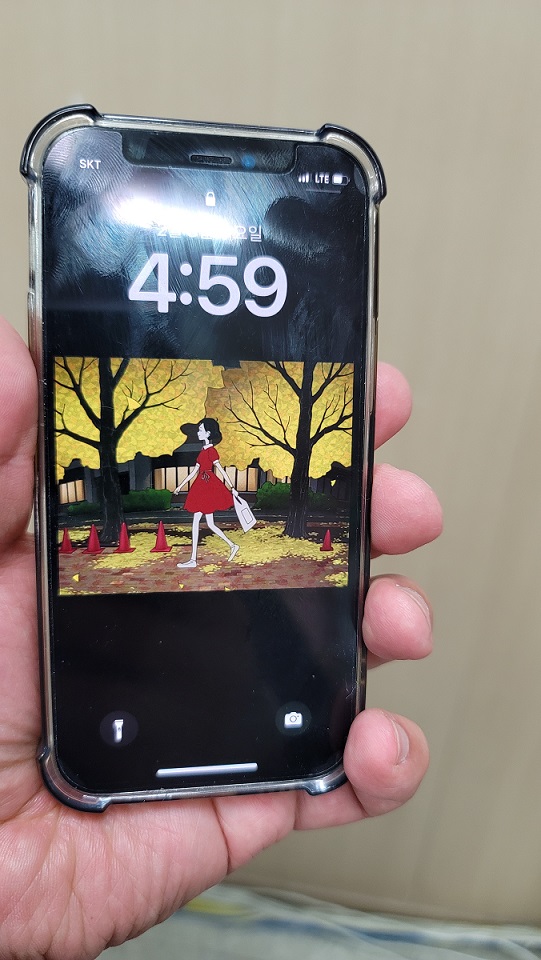 애플페이.ApplePay.국내사용시작.현대카드제휴