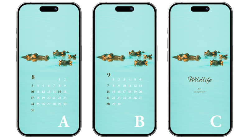 04 물 속에 하마 가족 ABC - 2025년8월 아이폰배경화면