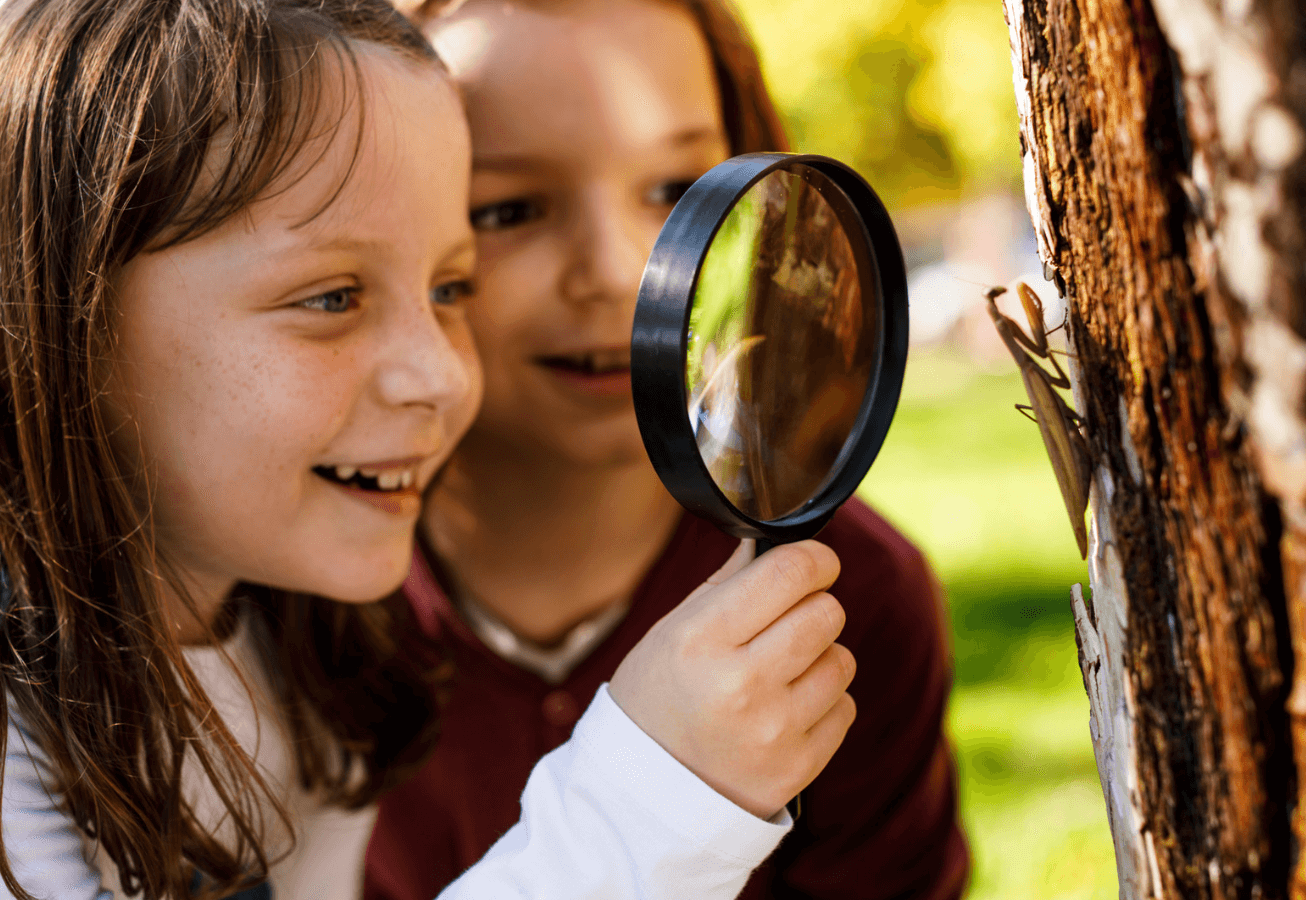 '푸룻푸룻프렌즈 여름탐험대