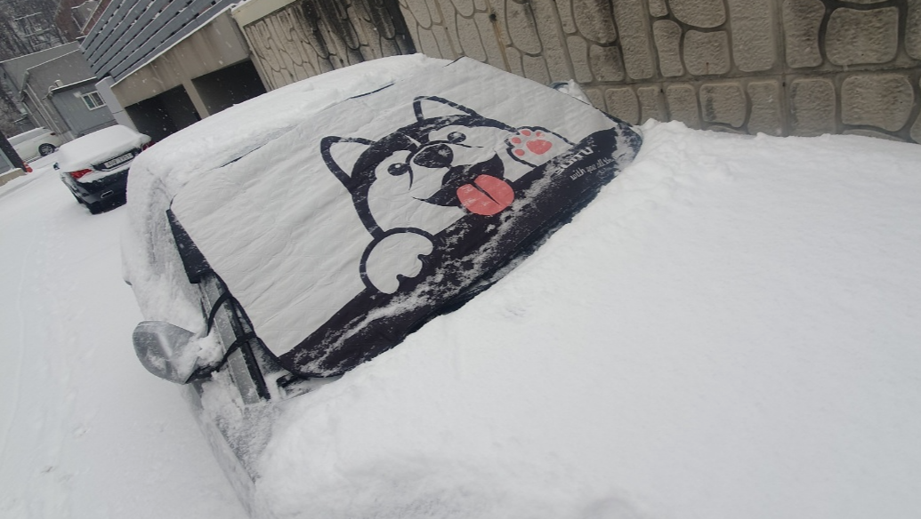 차량_앞유리에_커버를_씌운_모습5