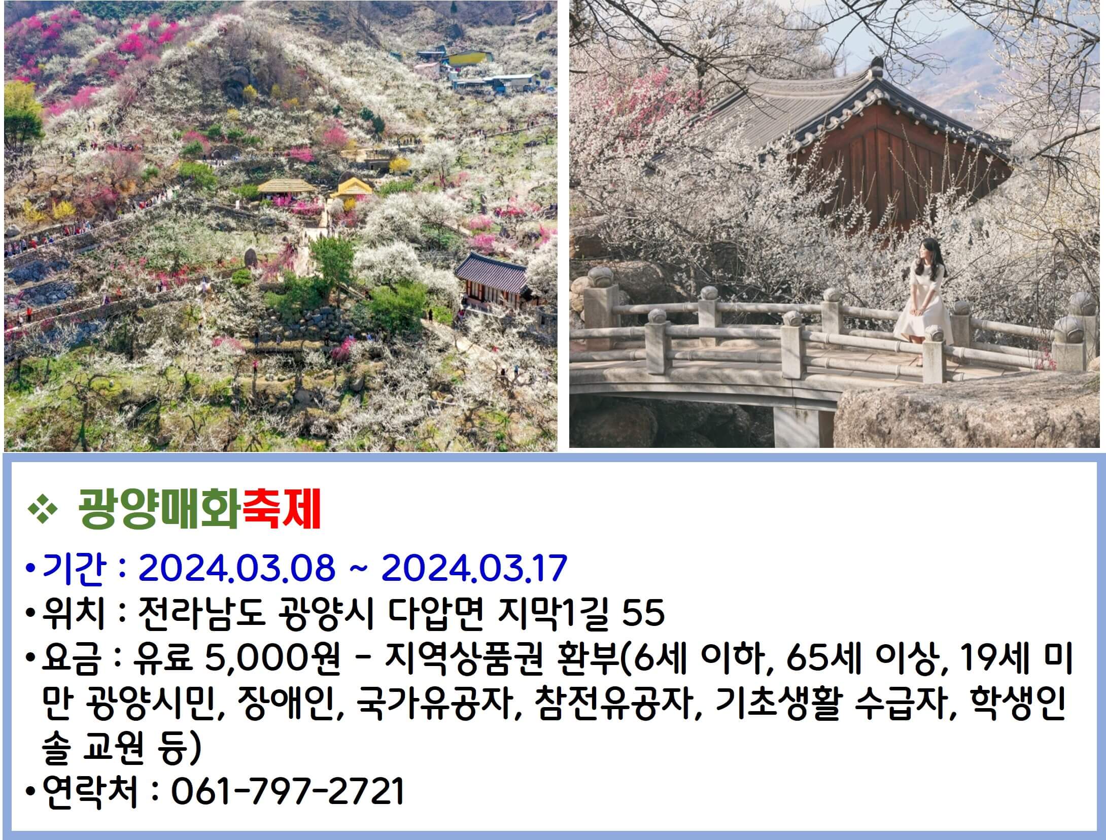 광양매화축제