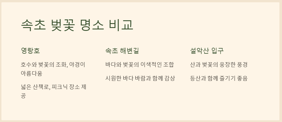 속초 벚꽃 개화시기 2025 꿀팁과 전망