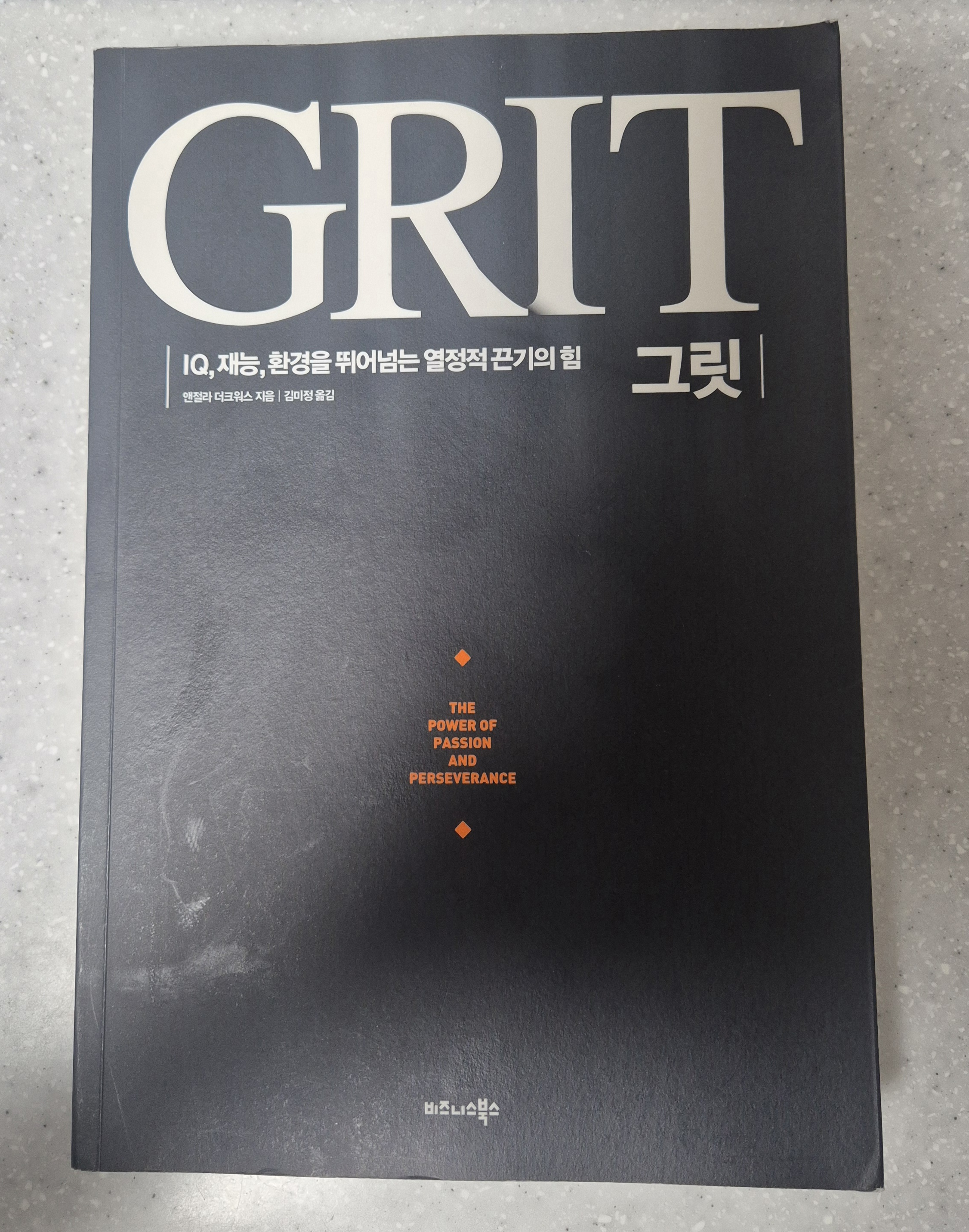 그릿 앤젤라 더크워스 끈기