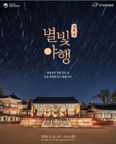 경복궁 야간개장