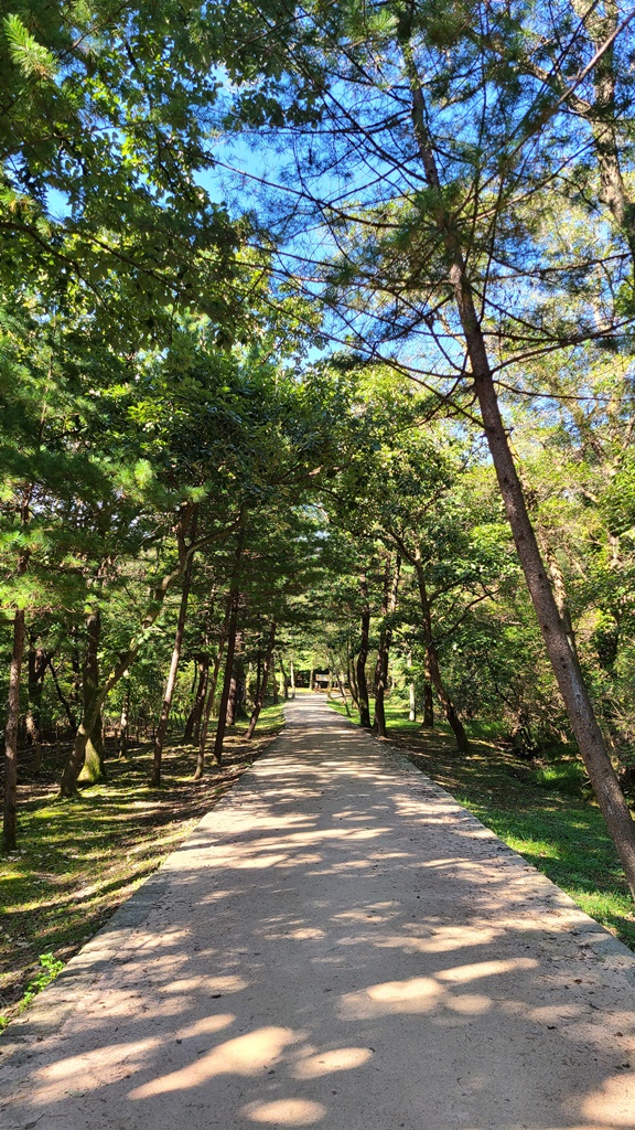 단풍명소