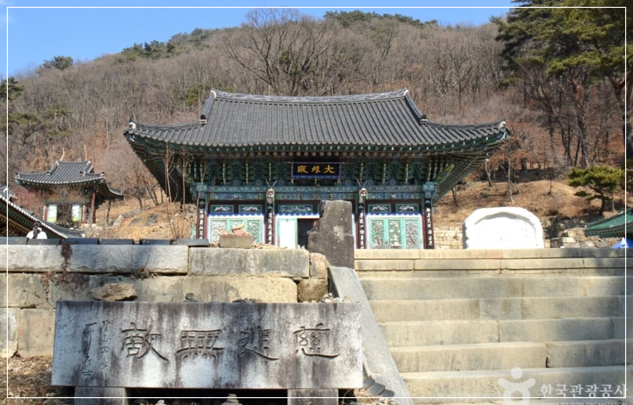 양평 가볼만한곳 베스트10 용문사 &amp; 천연기념물 제30호 은행나무