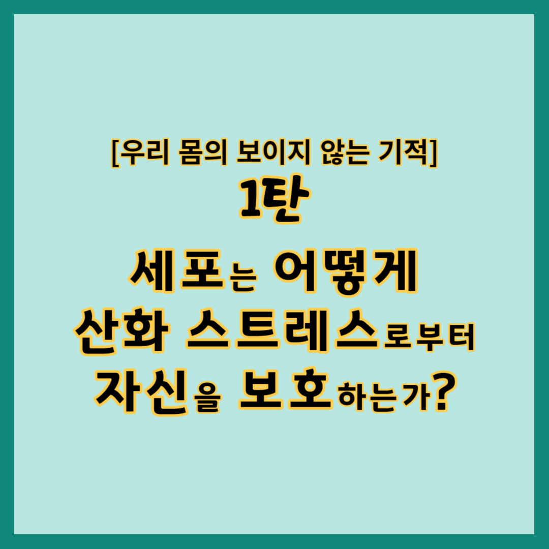 우리 몸의 보이지 않는 기적1탄 세포는 어떻게 산환스트레스로부터 자신을 보호하는가?, 산화스트레스란 무엇이고 왜 문제인가?, 우리 몸의 항산화 기능은 어떻게 작동하는가?, 우리 몸의 항산화 기능을 강화하는 방법은 무엇인가?