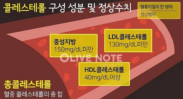 콜레스테롤 낮추는 음식2