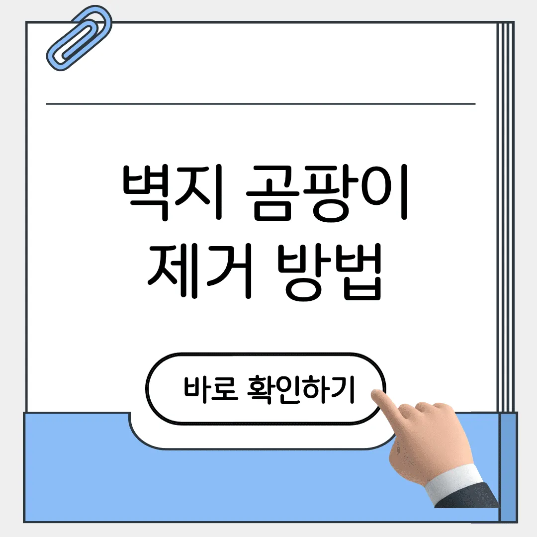 벽지 곰팡이 제거 방법
