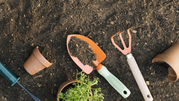 나무 심는 방법