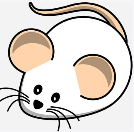쥐띠말띠상극 쥐띠개띠상극 쥐띠양띠상극