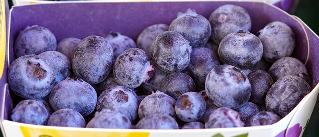 갱년기 -영양제 -추천- 2025 -16