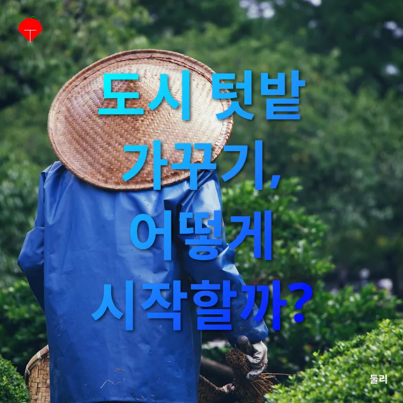 도시 텃밭 가꾸기_2