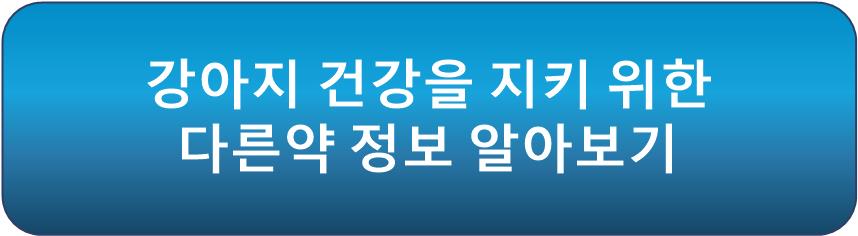 강아지 건강 관련 약 알아보기