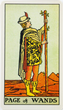 페이지 완드 정방향 해석