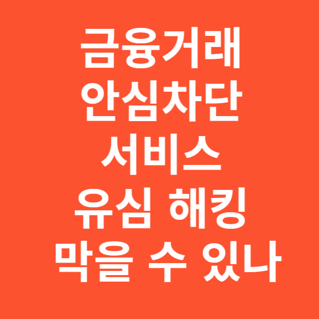 금융거래 안심차단 서비스 유심 해킹 막을 수 있나