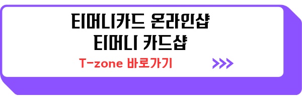 티머니카드 분실 신고 환불 사용내역 조회 티머니교통카드