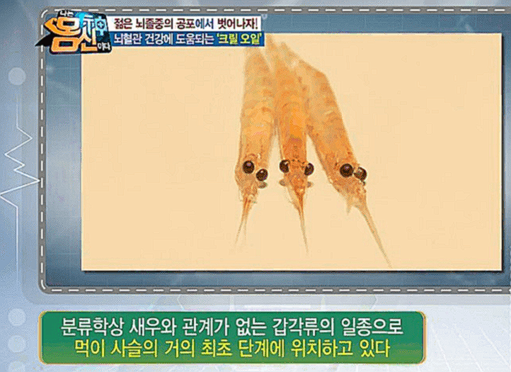 크릴오일 효능 부작용