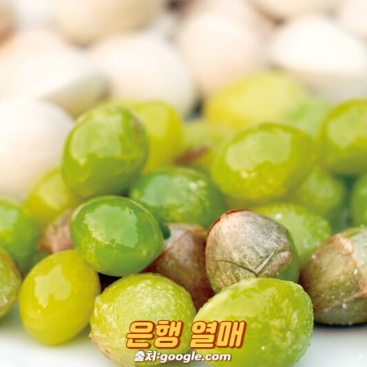 은행 열매