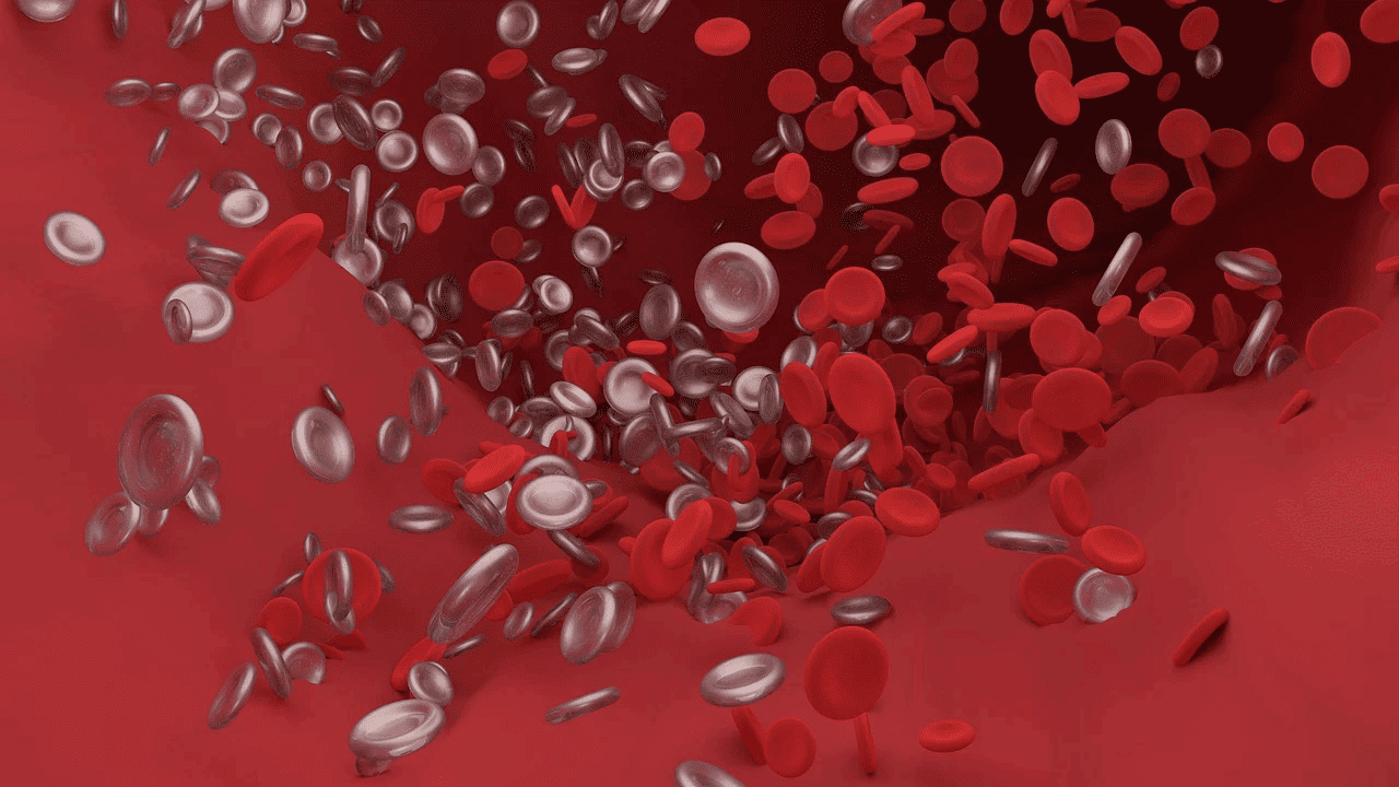 혈전에 대해 알아보기