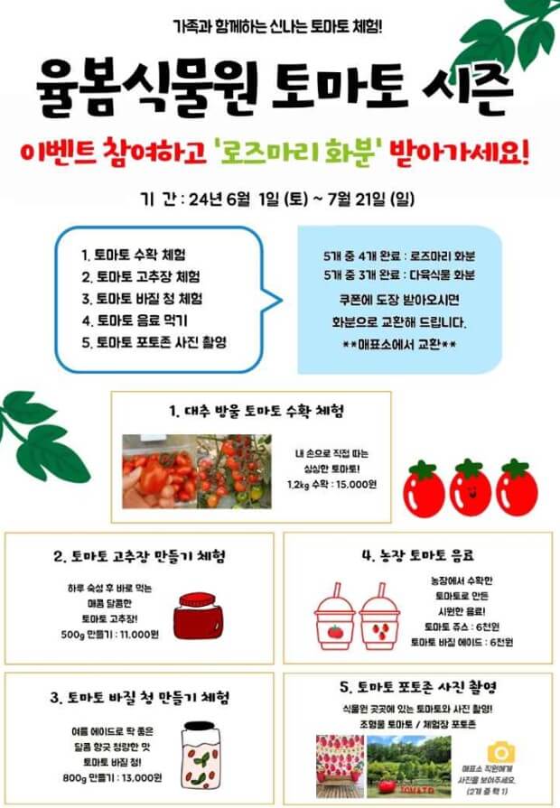 율봄식물원-토마토시즌