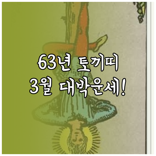 2026년 3월 토끼띠 63년생 운세..