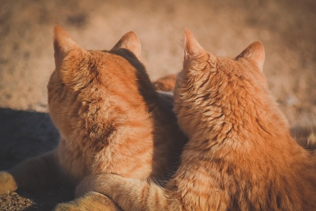 50대부터 시작하는 인간관계 다이어트&amp;#44; 희망퇴직 고민하는 사람에게 필요한 이유