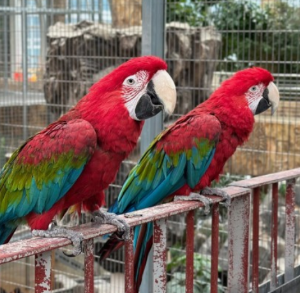 실내 데이트 스팟