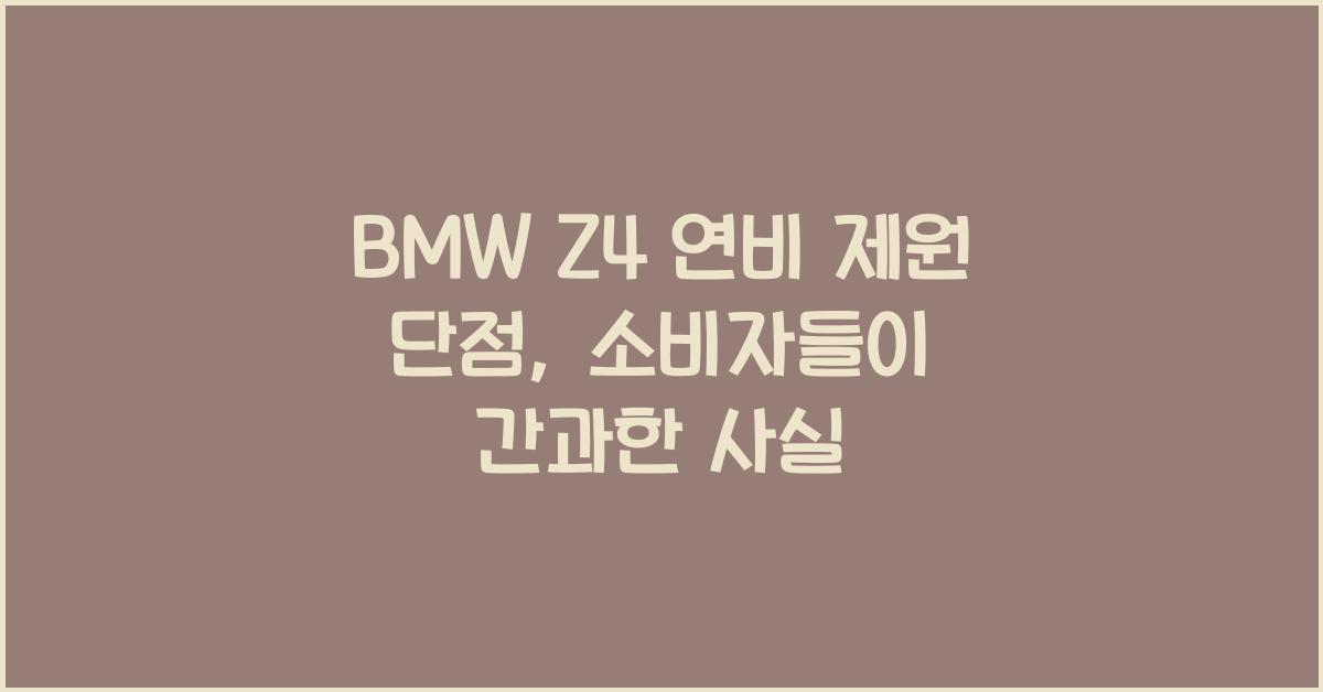 BMW Z4 연비 제원 단점