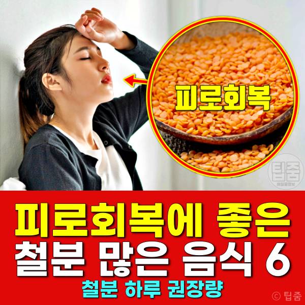 철분 많은 음식 피로회복에 좋은 음식