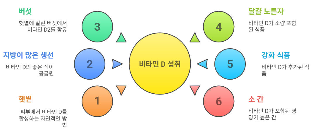 비타민 D 함유 음식